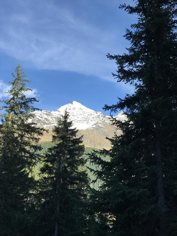 Agriturismo Malga Dell'Alpe Villa Валфурва Екстериор снимка