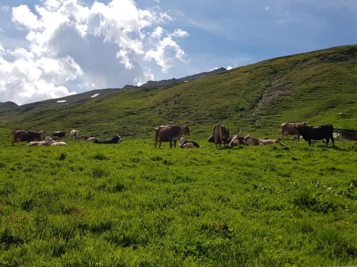 Agriturismo Malga Dell'Alpe Villa Валфурва Екстериор снимка
